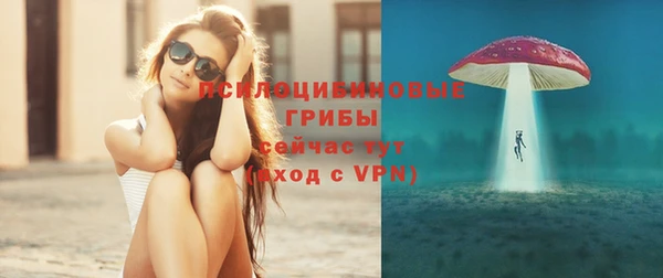 PSILOCYBIN Верхнеуральск