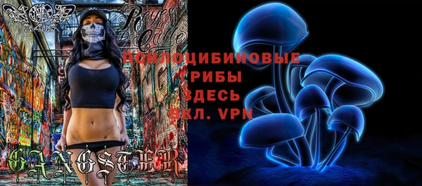 ешки Богородск