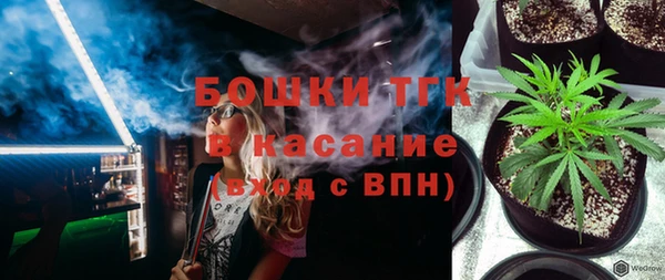 МДПВ Тайга