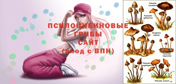 амфетамин Богородицк