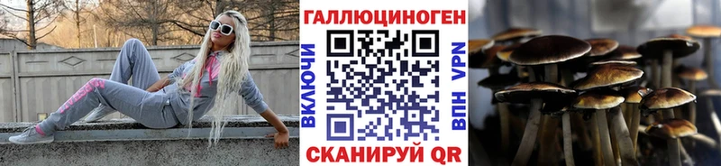 Псилоцибиновые грибы GOLDEN TEACHER  даркнет Telegram  Долинск 